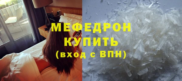 индика Медвежьегорск
