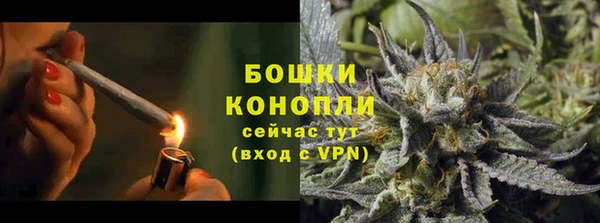 индика Медвежьегорск