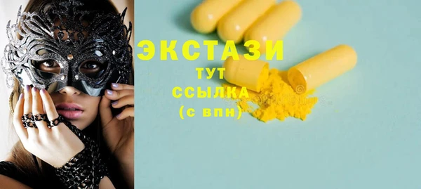 индика Медвежьегорск