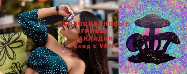 хмурый Мегион