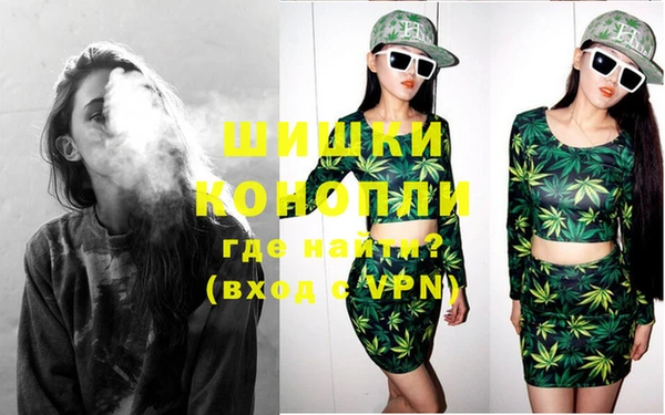 индика Медвежьегорск